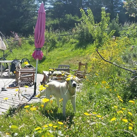 Le Rosé Des Prés Villard-de-Lans